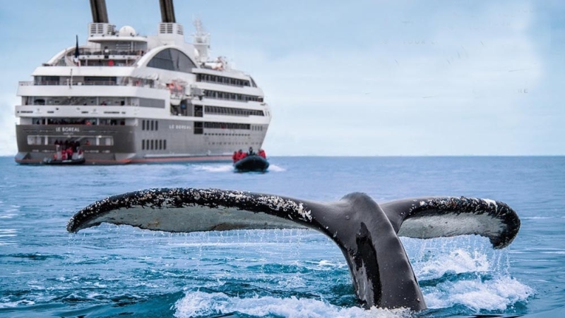 11 reasons why a cruise is better than a hotel or why people love cruises so much