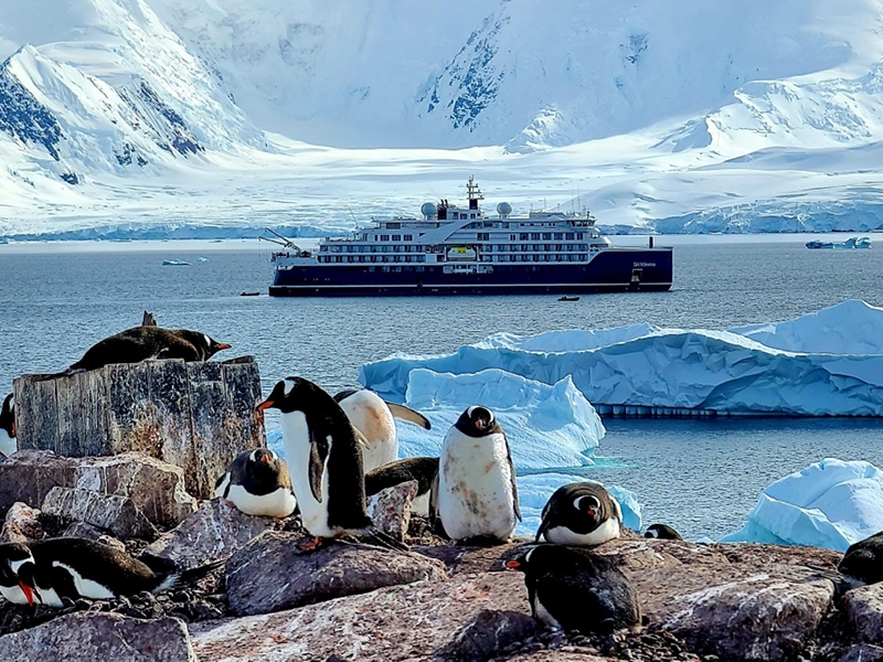 Antarctic Peninsula (New Year and Christmas) (Russian-speaking group)