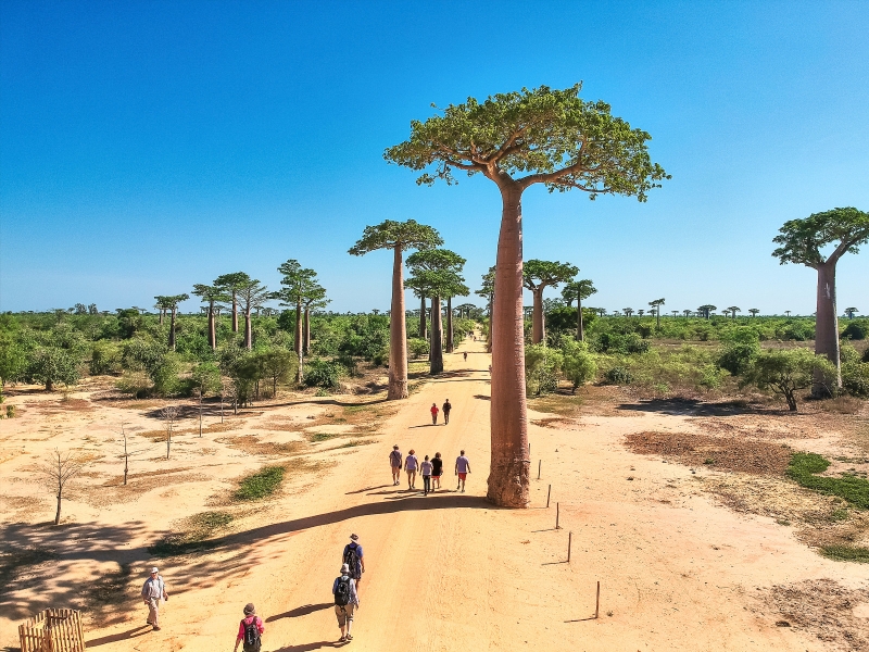 CRUISE “ADVENTURE IN MADAGASCAR” (Russian-speaking group)