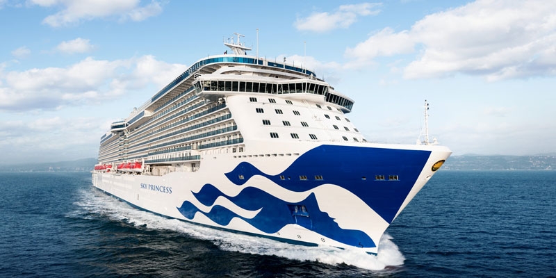 What new cruise ships can we expect in 2019?